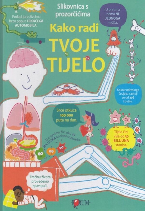 Kako radi tvoje tijelo