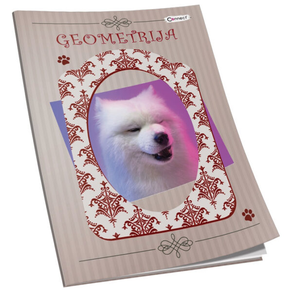 Obrazac školski geometrija Connect Girl - Slika 2