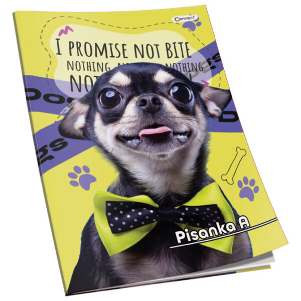Obrazac školski pisanka A Premium Connect Girl