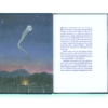 Fugoidna oscilacija - Slika 3