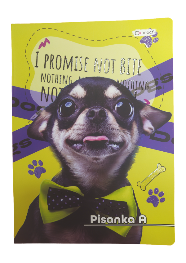 Obrazac školski pisanka A Premium Connect - Slika 3